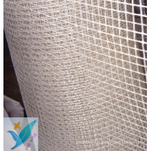 2.5 * 2.5 10mm * 10mm 100g Wall Fiberglass Net